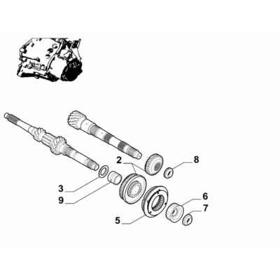 FIAT Doblo 2023-Present Spur Reduction Gearing Nut