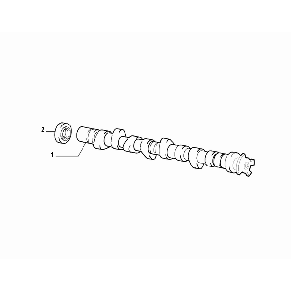 FIAT 500 2007-2016 Distribution Seal Gasket