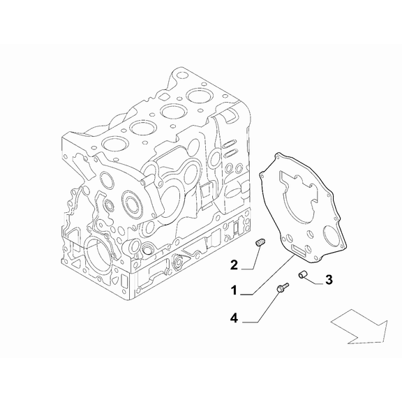 FIAT Ducato 2006-2020 Crankcase And Cylinder Head Protection