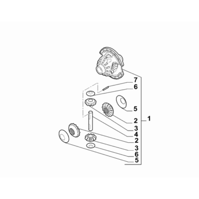 FIAT Ducato 2006-2020 Differential Gears Sun Gear