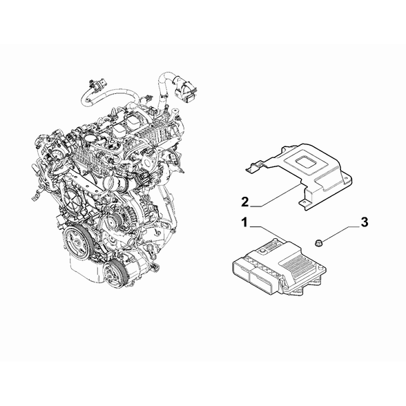 FIAT 500X 2016-Present Fuel Injection System Nut